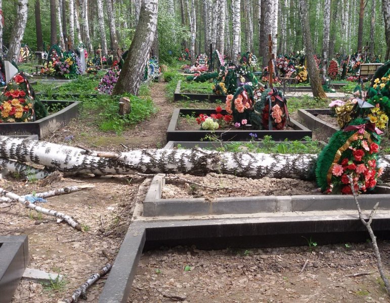Упавшее дерево поломало памятники на новосибирском кладбище